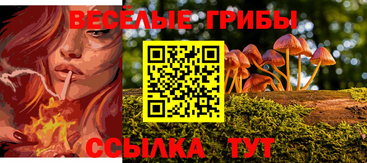 Галлюциногенные грибы GOLDEN TEACHER  Вход с VPN  Ейск  хочу наркоту  Псилоцибиновые грибы MAGIC MUSHROOMS 