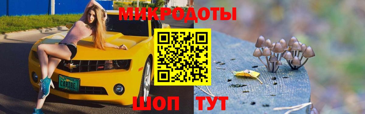 Псилоцибиновые грибы Magic Shrooms Ейск
